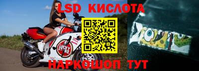 эйфоретик Славгород