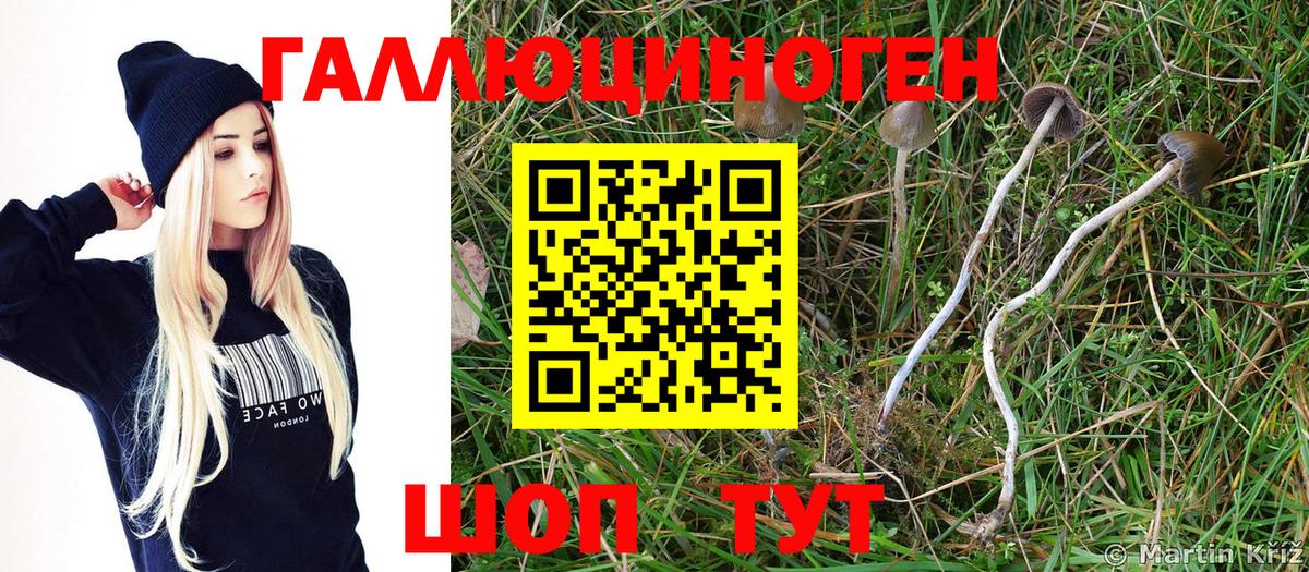 Ртищево  Псилоцибиновые грибы Magic Shrooms  Псилоцибиновые грибы прущие грибы  Вход с VPN 